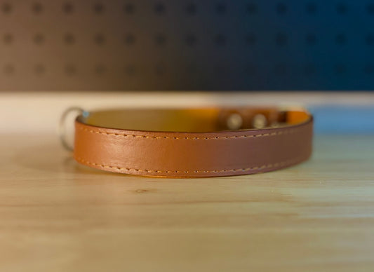 Custom Laser-Engraved Leather Dog Collar